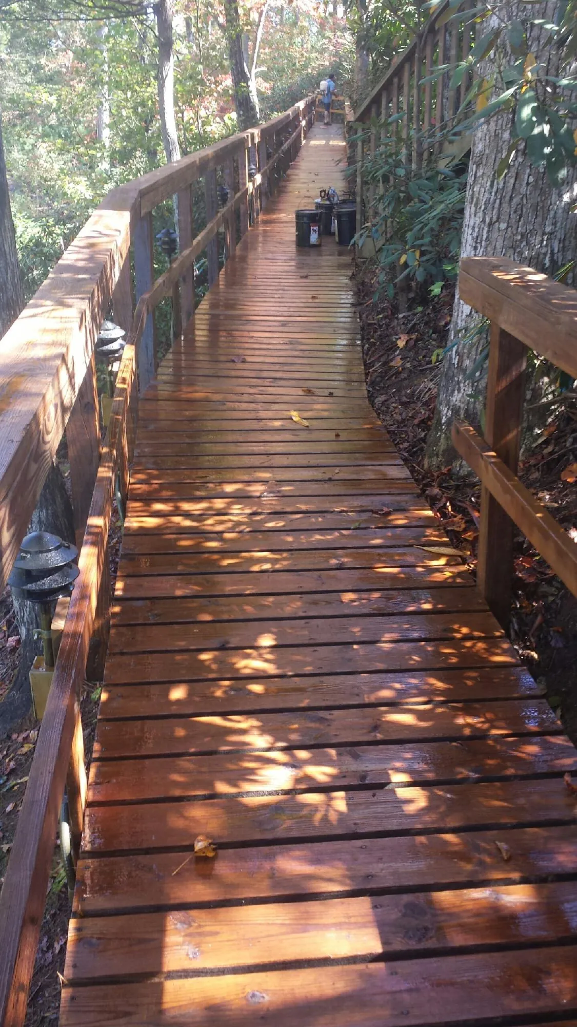 Freshly stained wood walkway winding through the woods in China Grove